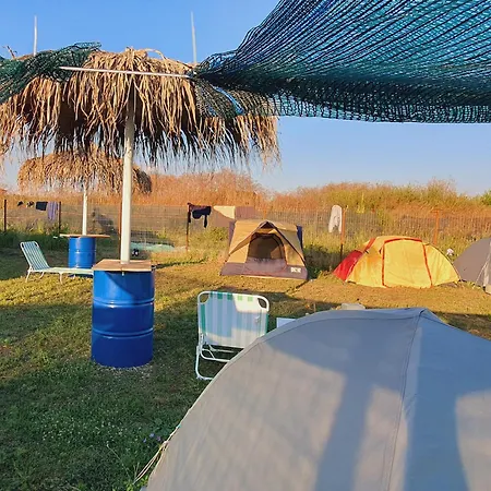 Free People Camping