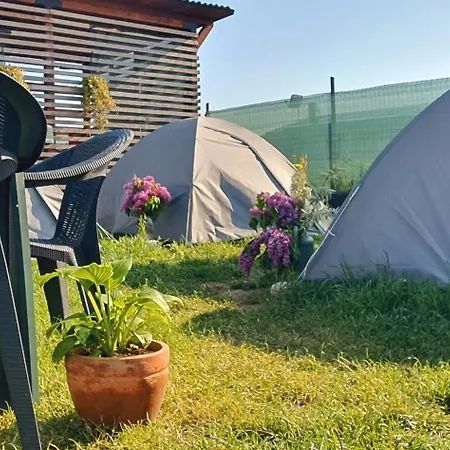 Camping Free People Vama Veche