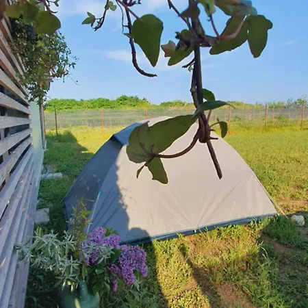 Free People Camping *