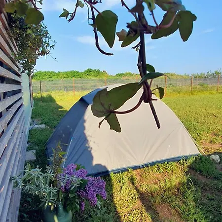 Free People Camping